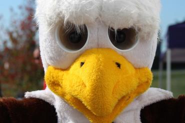 Thunder, the ROMS mascot