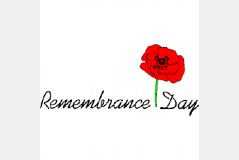 Remembrance Day Poppy